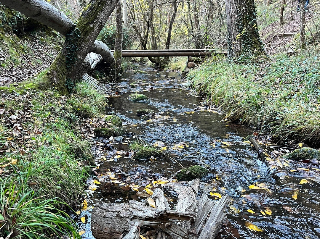 La Senda Del Agua-Matute必去景点