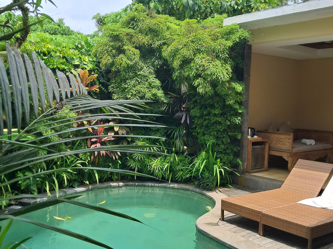 巴厘岛阿勒娜度假酒店主图