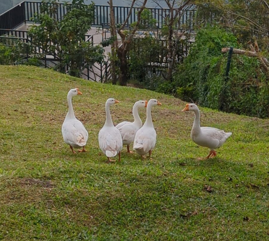 Haze And Kites Resort主图