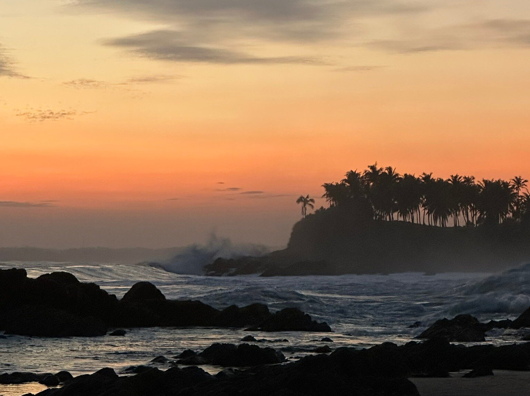 Moon Lanka Tours-希克杜沃必去景点