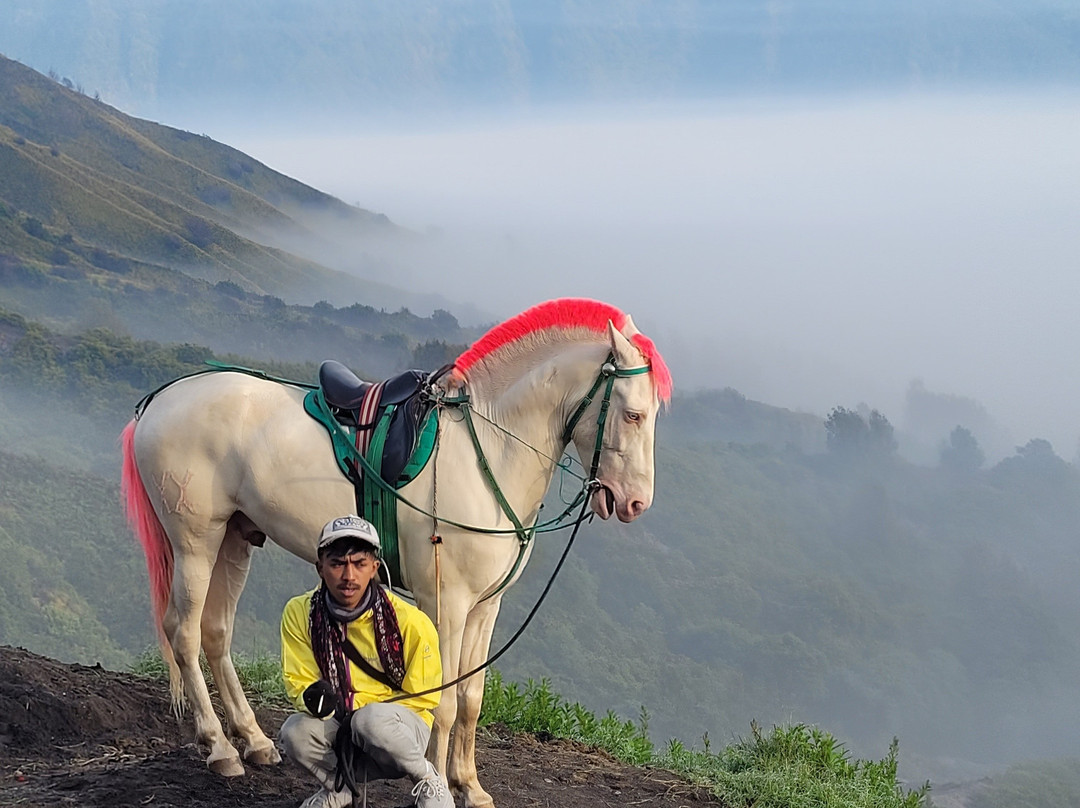 Java Eco Tour-巴纽旺宣必去景点