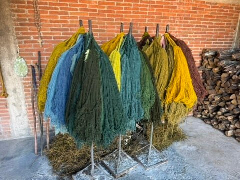 Luis Ramírez Tours Oaxaca-瓦哈卡必去景点