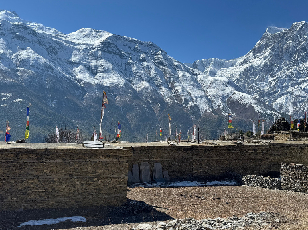 Swiss Family Treks & Expedition-加德满都必去景点