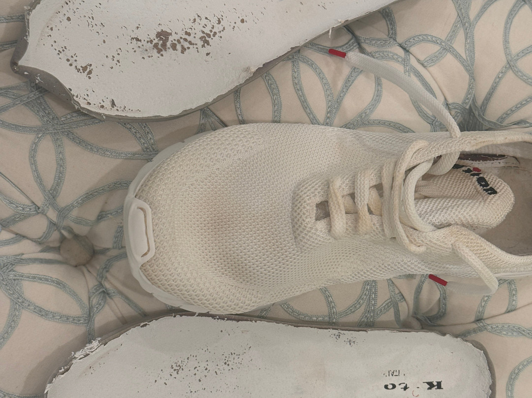 The Royal Poinciana Plaza-棕榈海滩必去景点