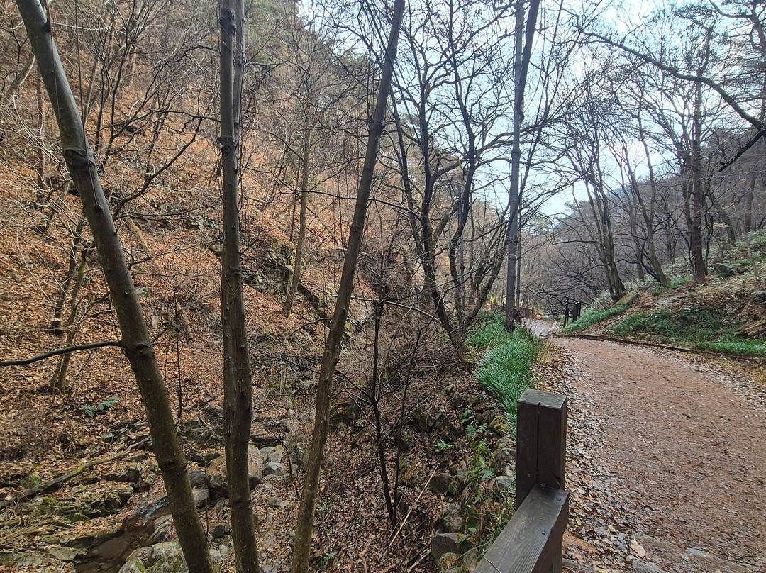 Moak Mountain-全州市必去景点