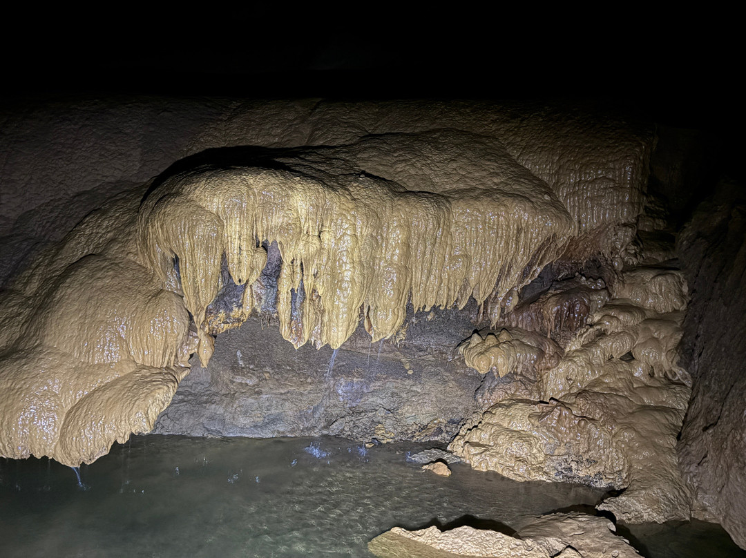 Worley's Cave-Bluff City必去景点