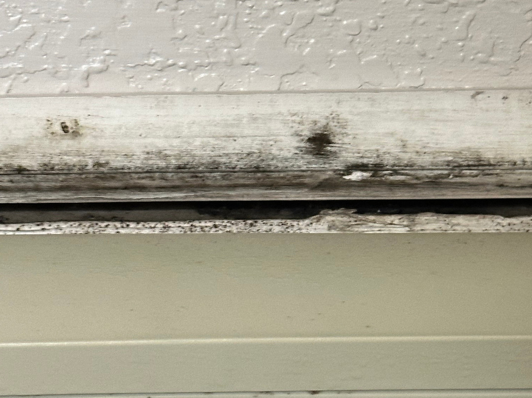 Best Western Luxbury Inn Fort Wayne主图