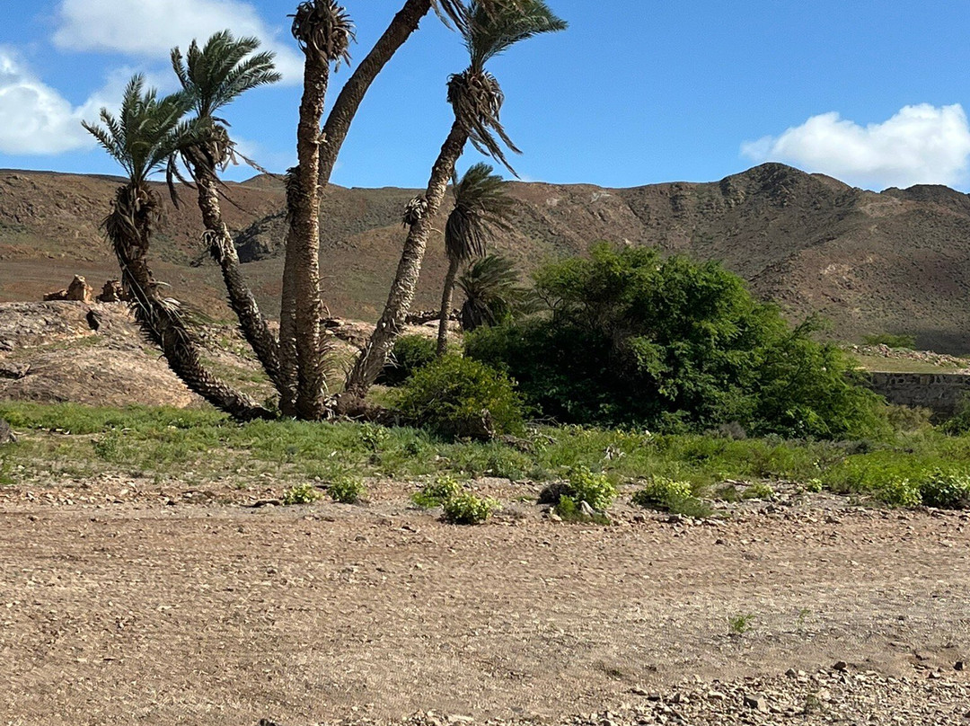 SolaCyberTours-萨尔雷必去景点