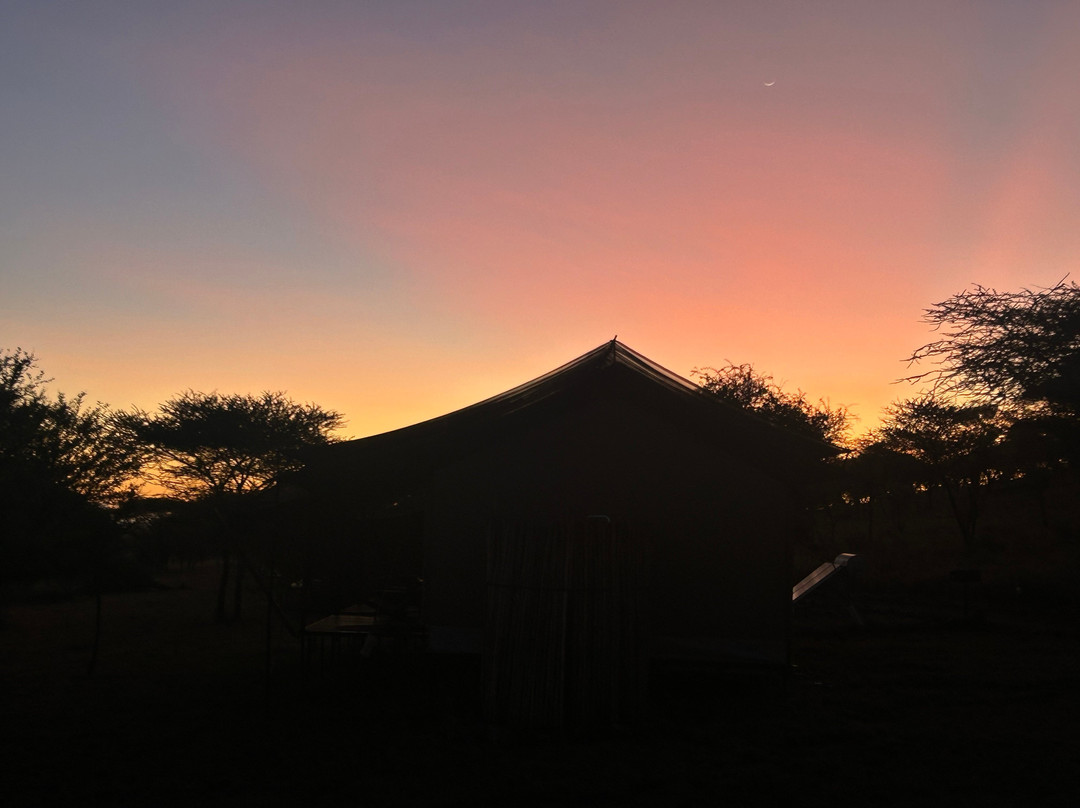 Waterbuck Safaris-Dar es Salaam必去景点