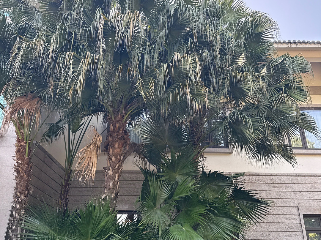 福建鲤鱼洲酒店主图