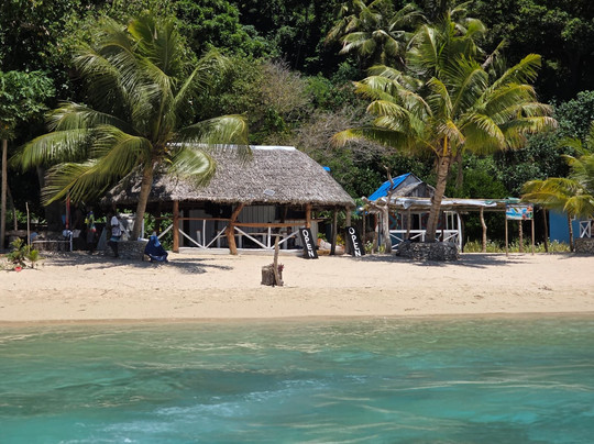 Turtle Beach Bungalow & Tours