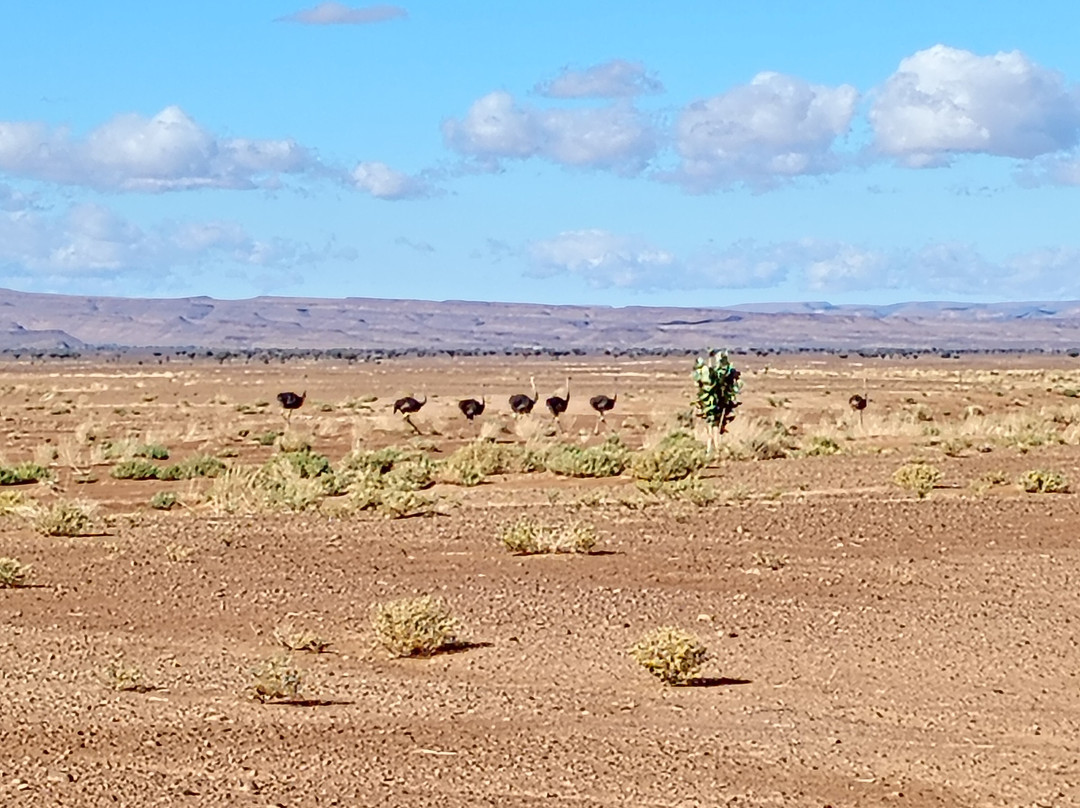 Haj Omar Service-扎古拉必去景点