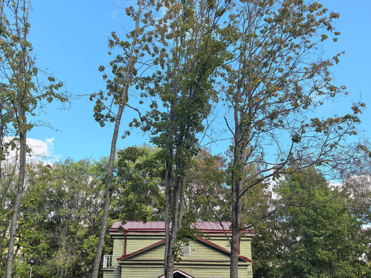Nekrasov House Museum-Chudovo必去景点