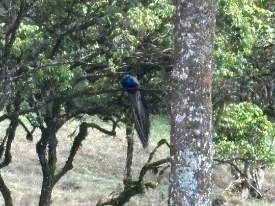 R.N Focus Tours-Katana必去景点