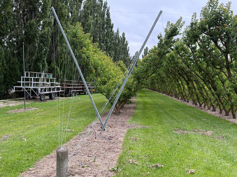 Jackson Orchards-克伦威尔镇必去景点