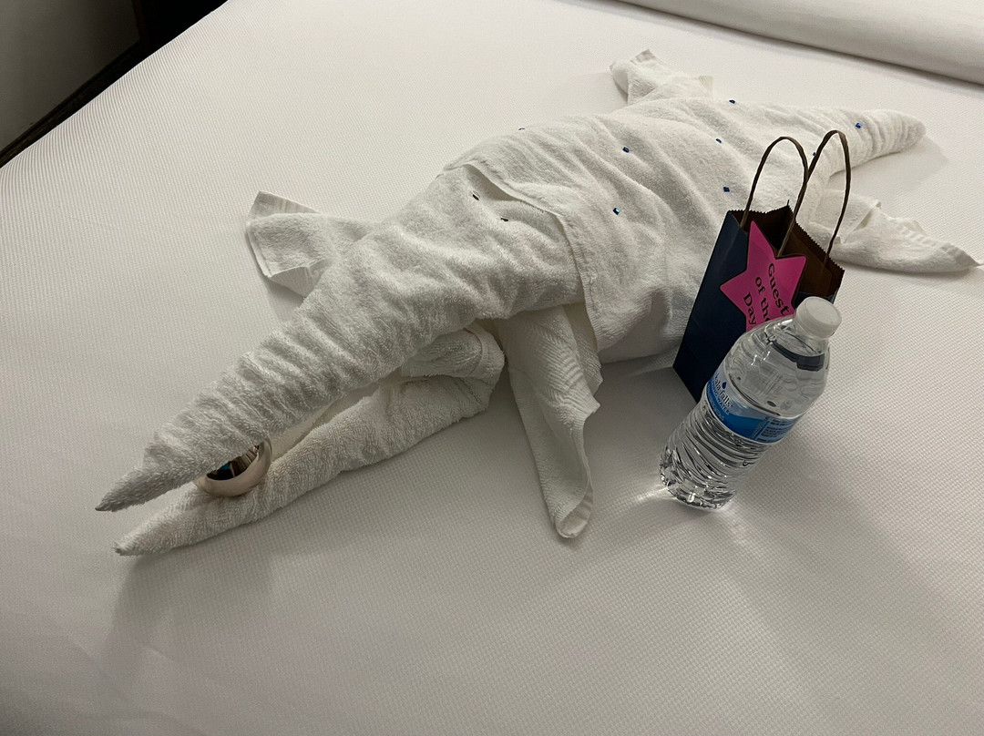 Comfort Suites Near Rainbow Springs主图