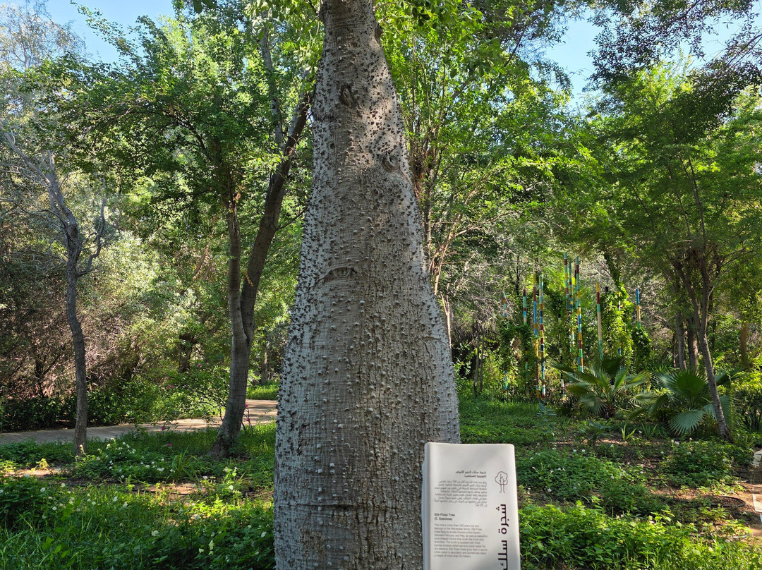 Al Noor Island-沙迦必去景点