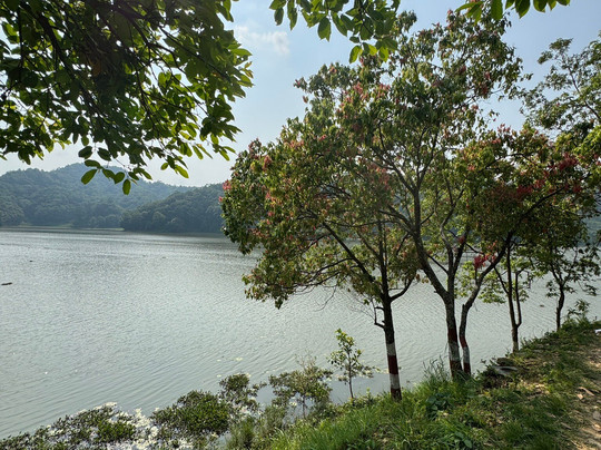 Rupa Lake-博卡拉必去景点