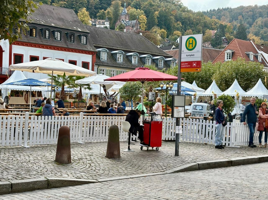 Carl's Square (Karlsplatz)-海德尔堡必去景点