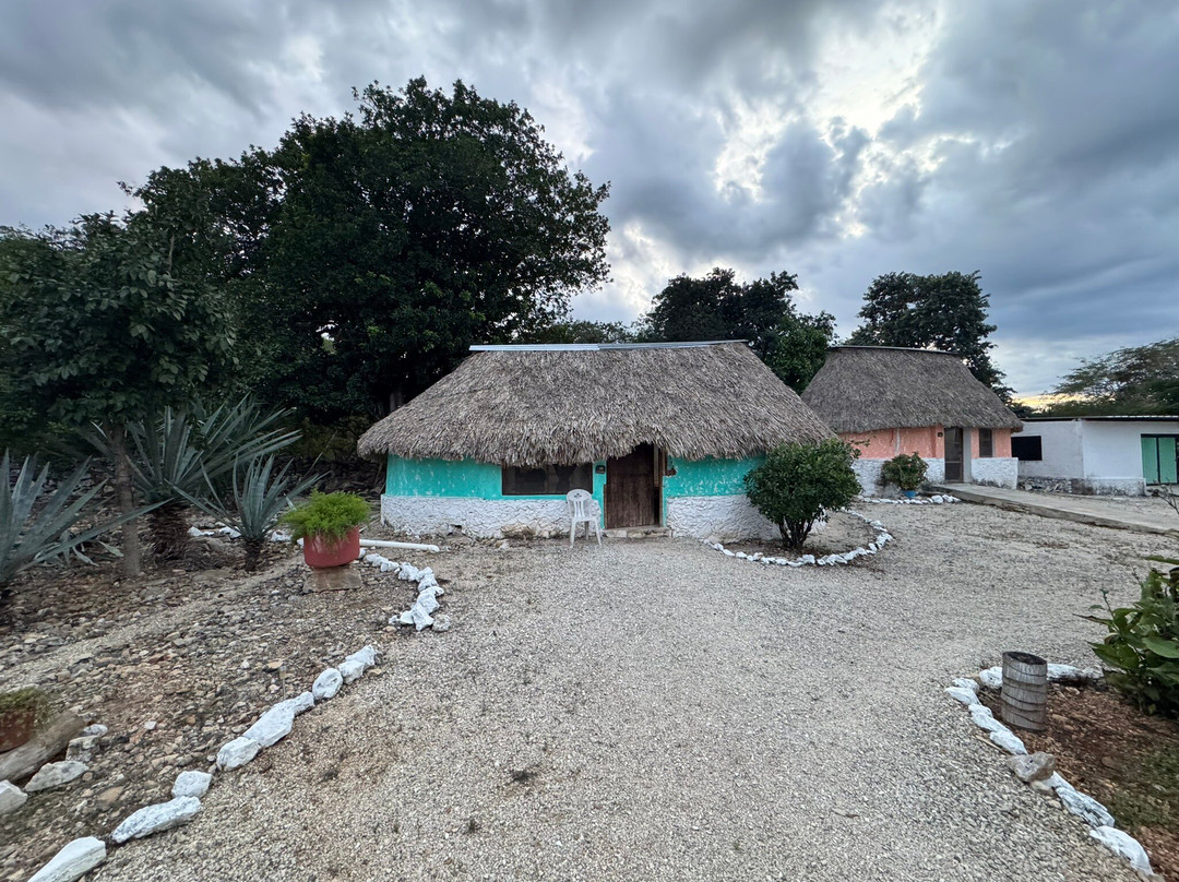 Camino del Mayab-梅里达必去景点