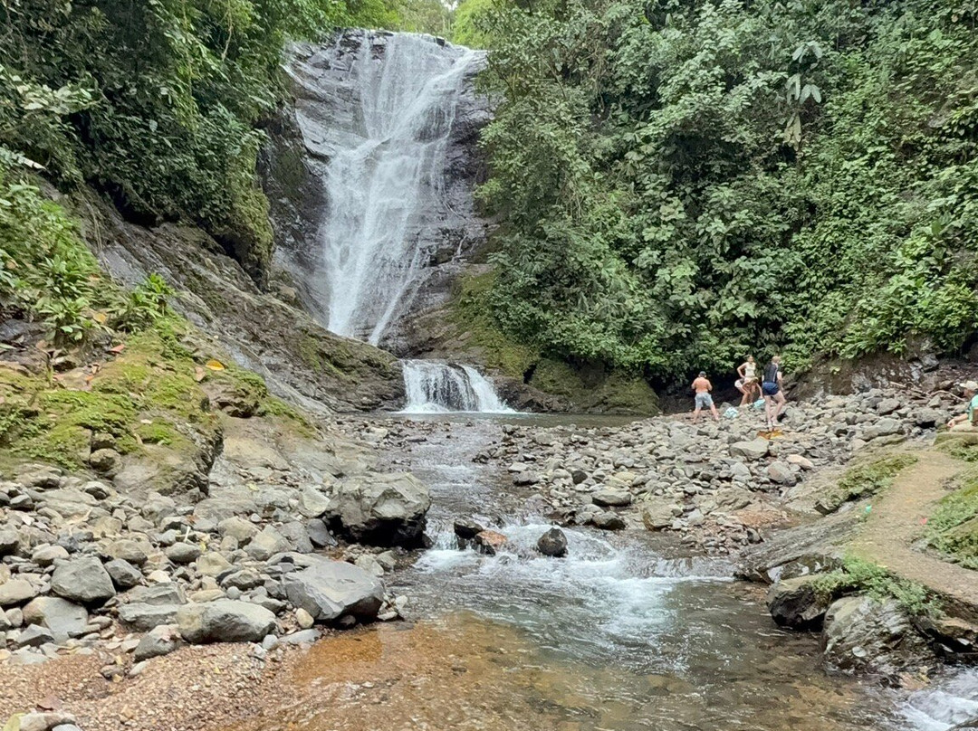 Brisas del Nara-哥斯达黎加安东尼奥国家公园必去景点