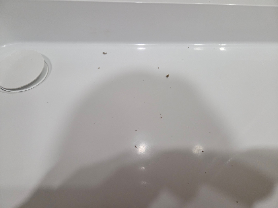 Westlands Country Park-Kirkpatrick Fleming必去景点