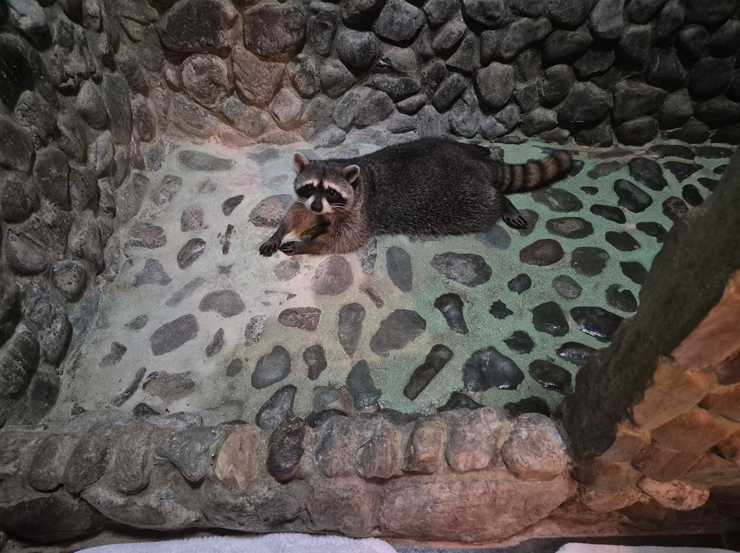 Clandestino Beach Resort主图