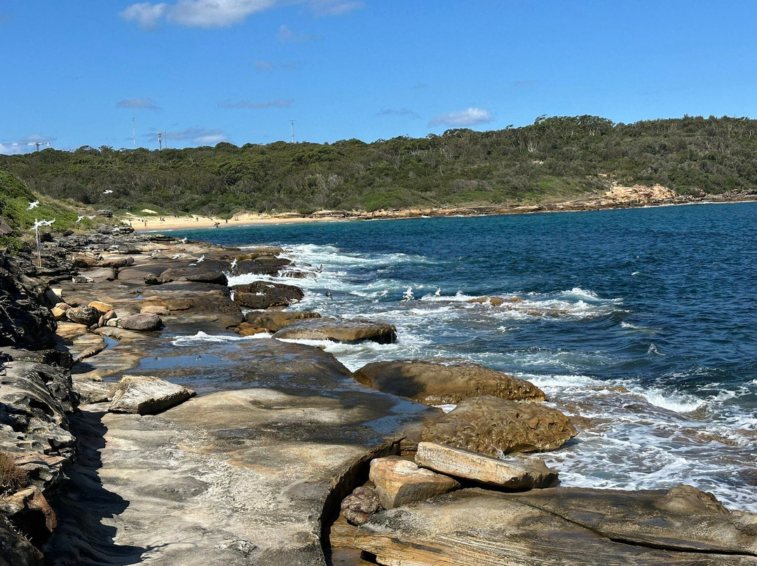 Bare island-La Perouse必去景点