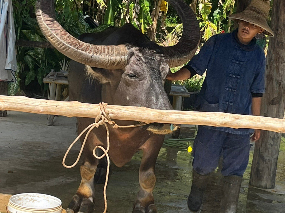Old Phuket Farm-Thep Krasattri必去景点