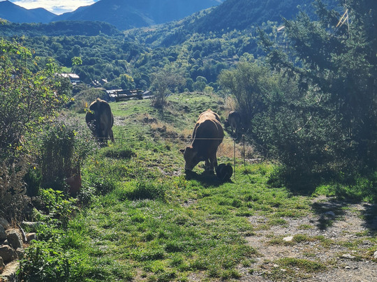 Mirador del Tossal del Comú