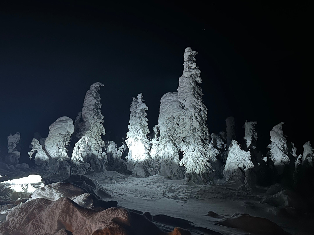 Alaska Safari Sultan Tour-费尔班克斯必去景点