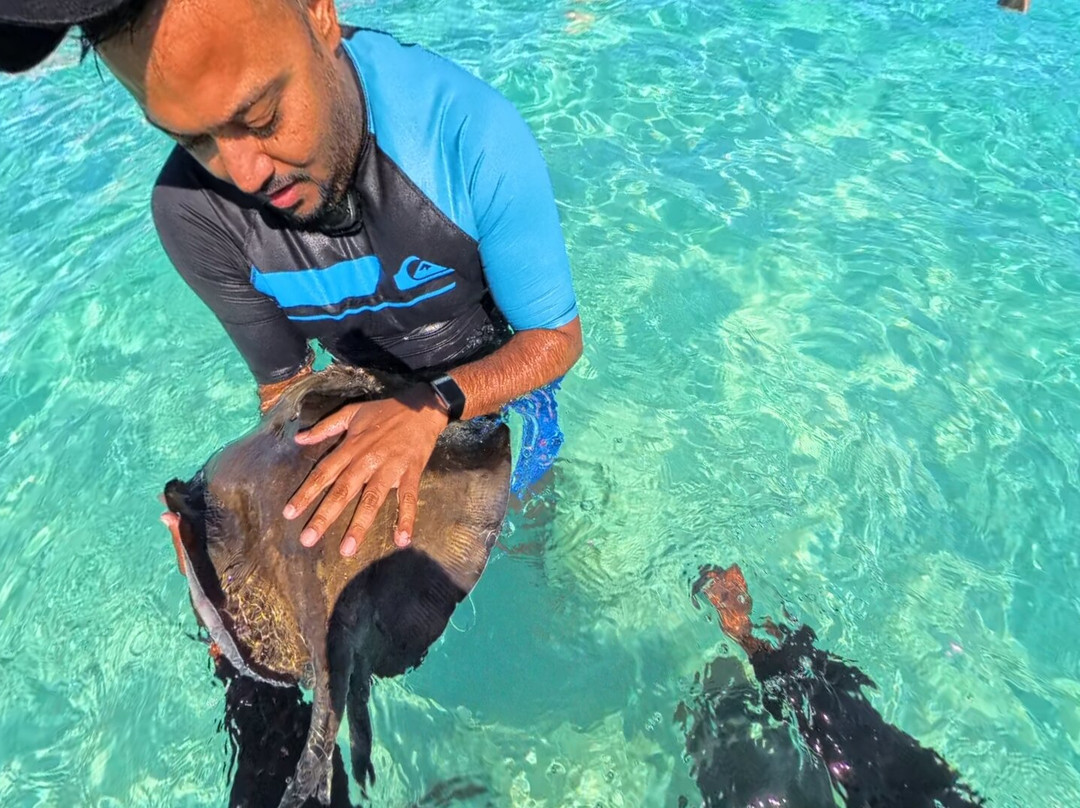 Anchor Tours-西湾必去景点