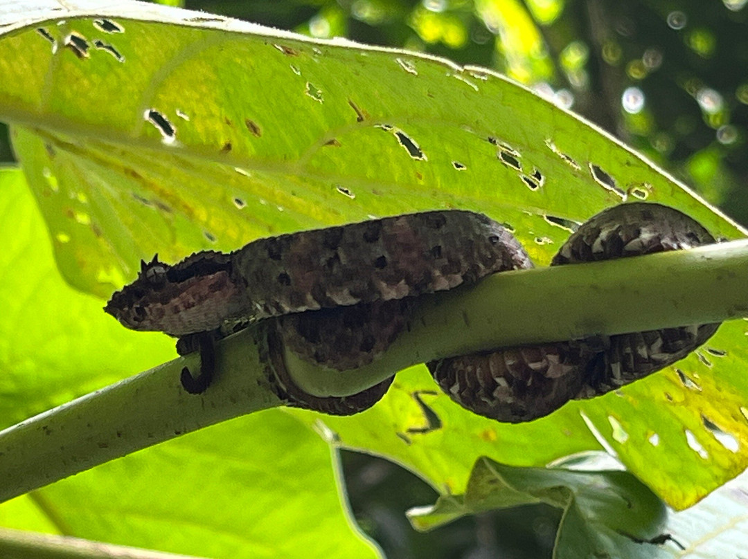 Prime Tours Costa Rica-利比里亚必去景点