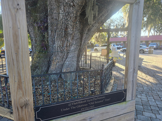 Villa 1565 Hotel主图