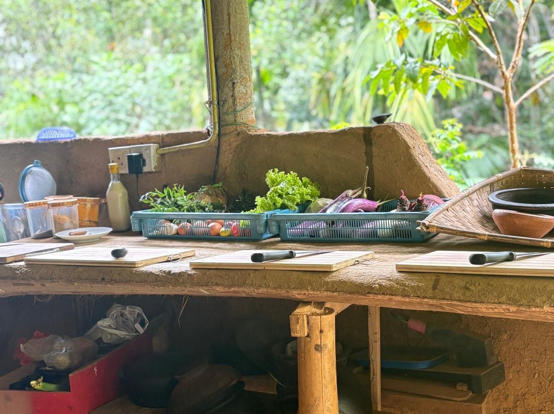 Ella Green Grow Cooking Class-埃勒必去景点