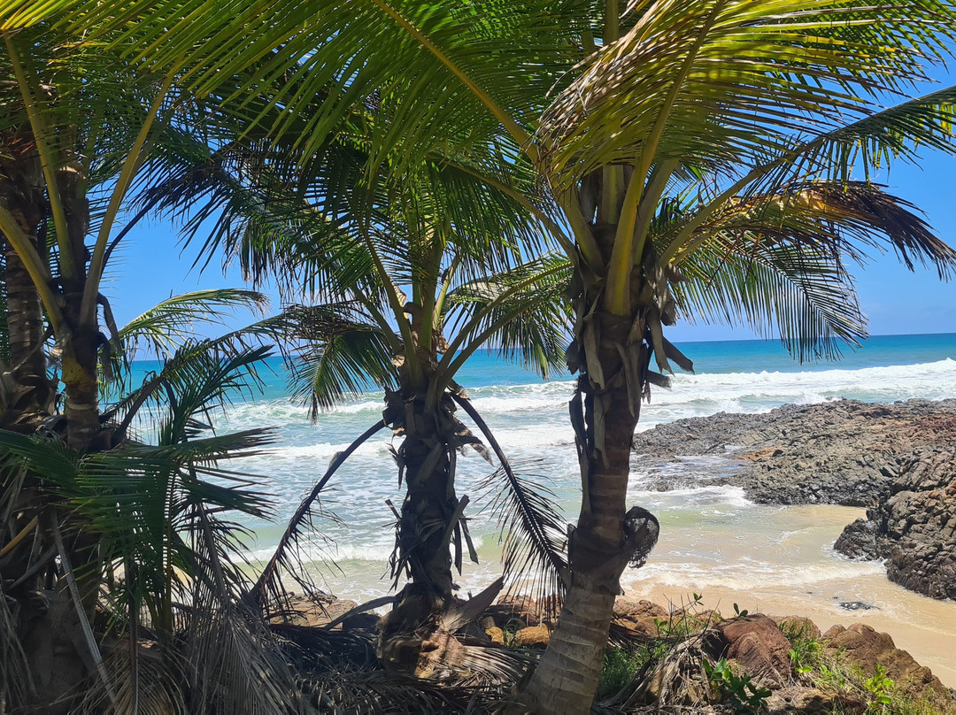 Trilha das Quatro Praias-Itacare必去景点