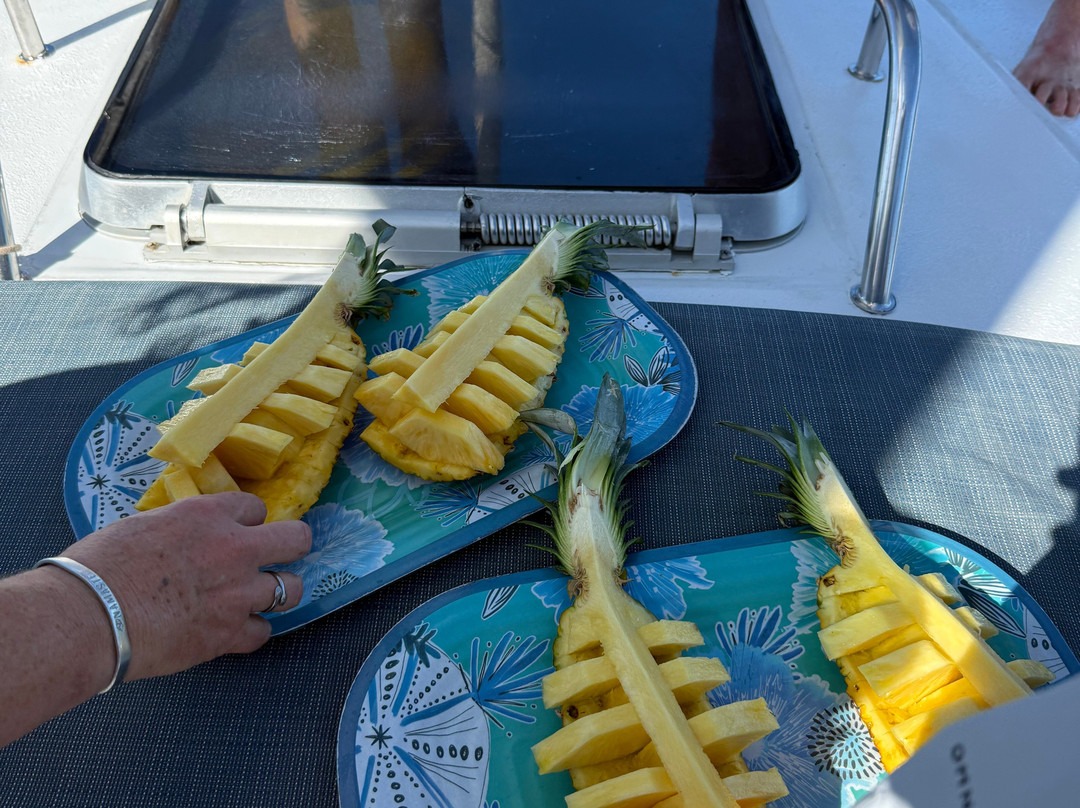 Serendipity Charters-Sailing Costa Rica-Playa Flamingo必去景点