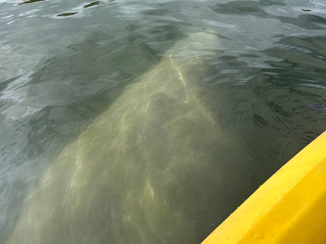 Ponce de Leon Springs State Park-Ponce de Leon必去景点