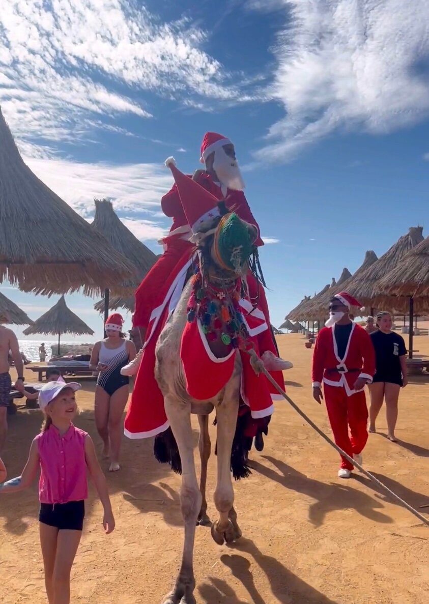 Sheraton Sharm Hotel, Resort, Villas & Spa-官方