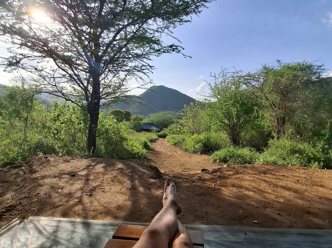 Shadows of Africa-阿鲁沙必去景点