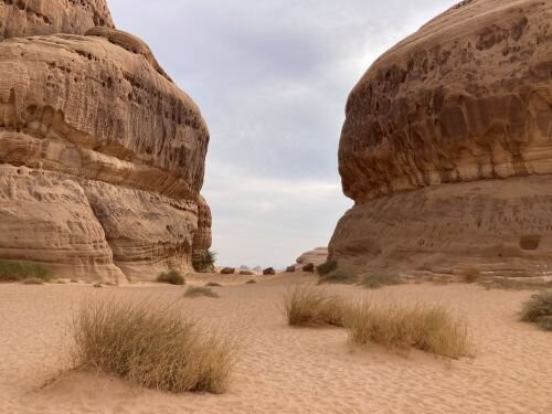 Al Diwan-AlUla必去景点