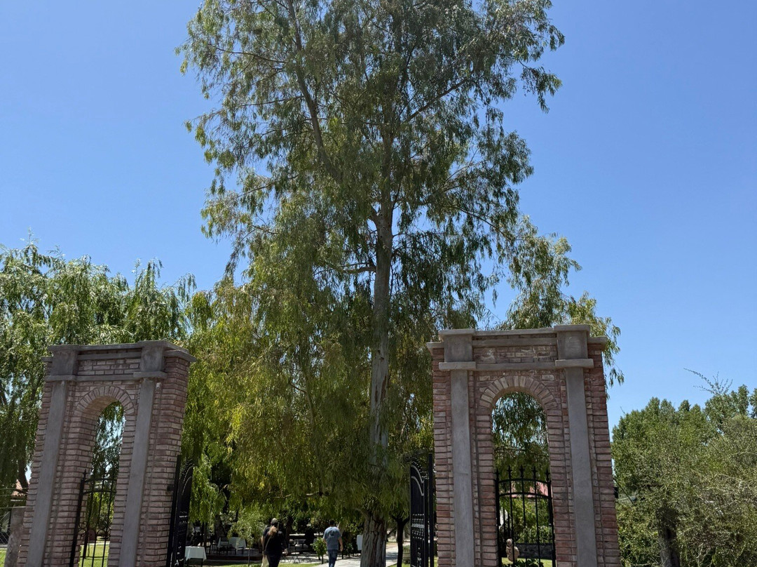 Mendoza Viagem-门多萨必去景点