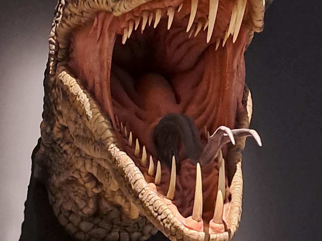 Warner Bros. Studio Tour Tokyo - The Making of Harry Potter-练马区必去景点