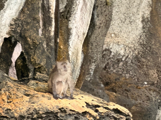 Infinity Divers-普吉岛必去景点