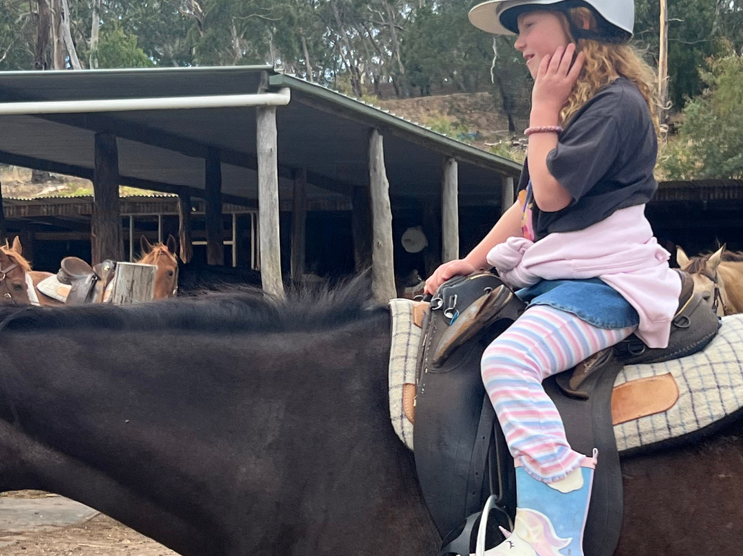 Spring Creek Horse Rides-贝尔布拉必去景点