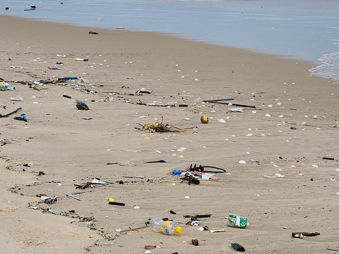 Sonata Resort & Spa主图