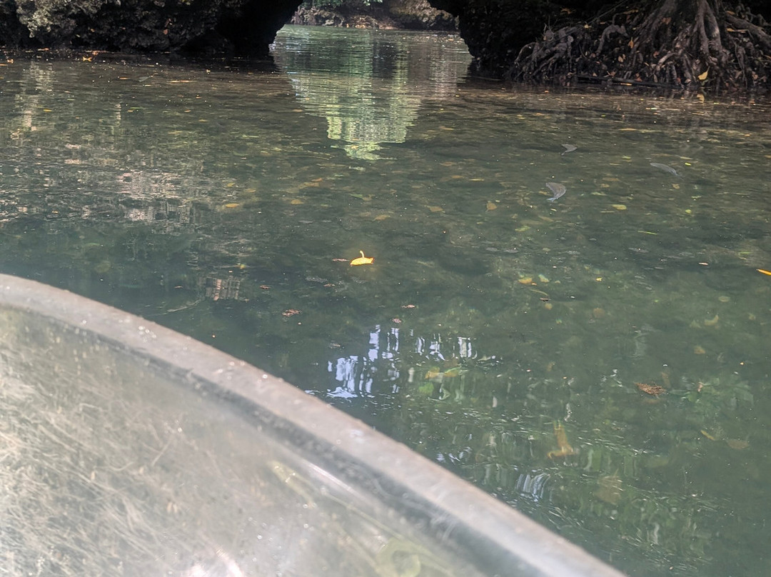 Nungwi Mnarani Aquarium-孥归必去景点