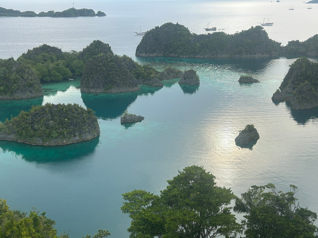 Cruising Raja Ampat - Wisesa Liveaboard-索龙必去景点