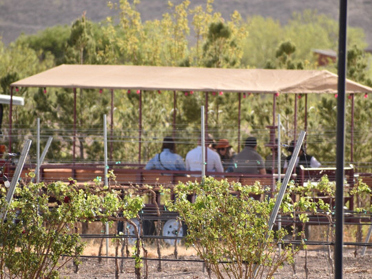 Vinícola Amelia-奇瓦瓦州必去景点