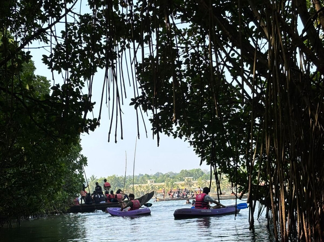 Mangrove Forest Kayaking Varkala-Paravur必去景点